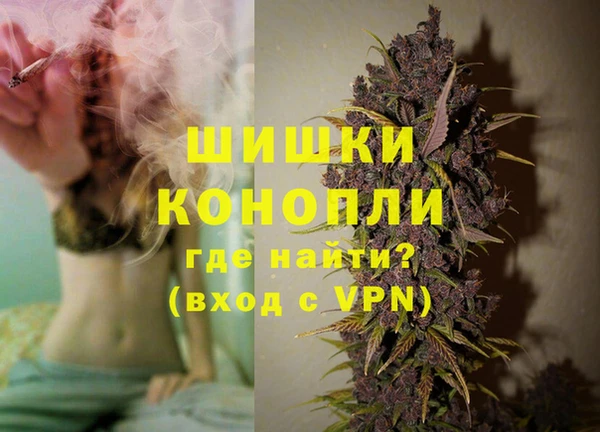 дживик Зеленокумск
