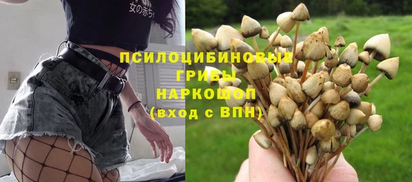 трава Зерноград
