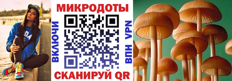Купить закладки  Кинель  Галлюциногенные грибы ЛСД 
